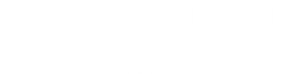 DR. GABRIEL GROUP